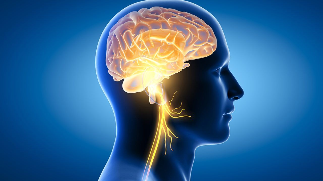 Omega-3 Fatty Acids: Essential Nutrients for Peak Brain Performance